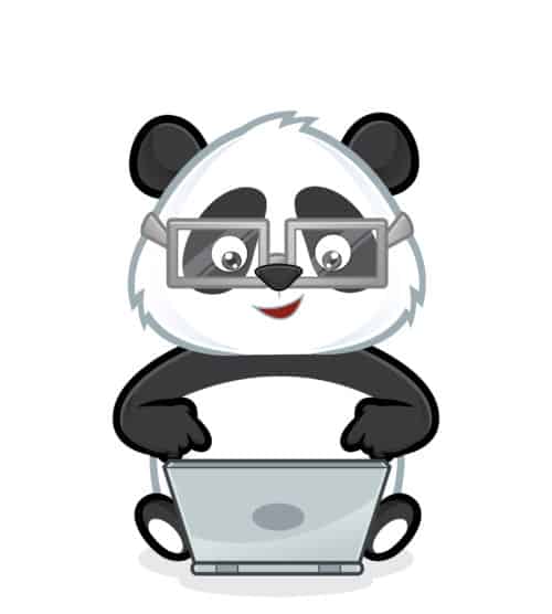 Panda using computer